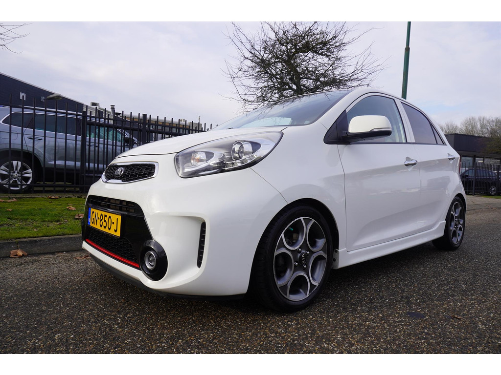 49502056