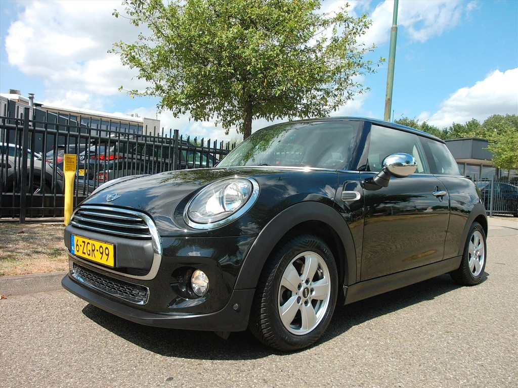 55750294