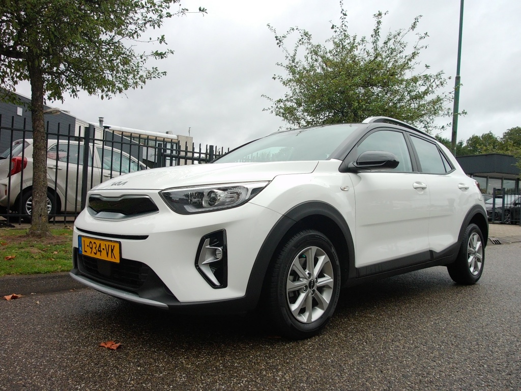 56454904